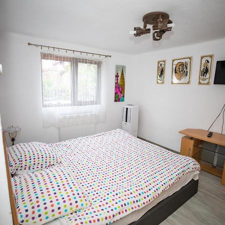 Arad Apartment - Airport Area Bagian luar foto
