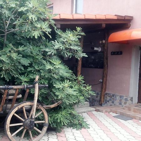 Arad Apartment - Airport Area Bagian luar foto