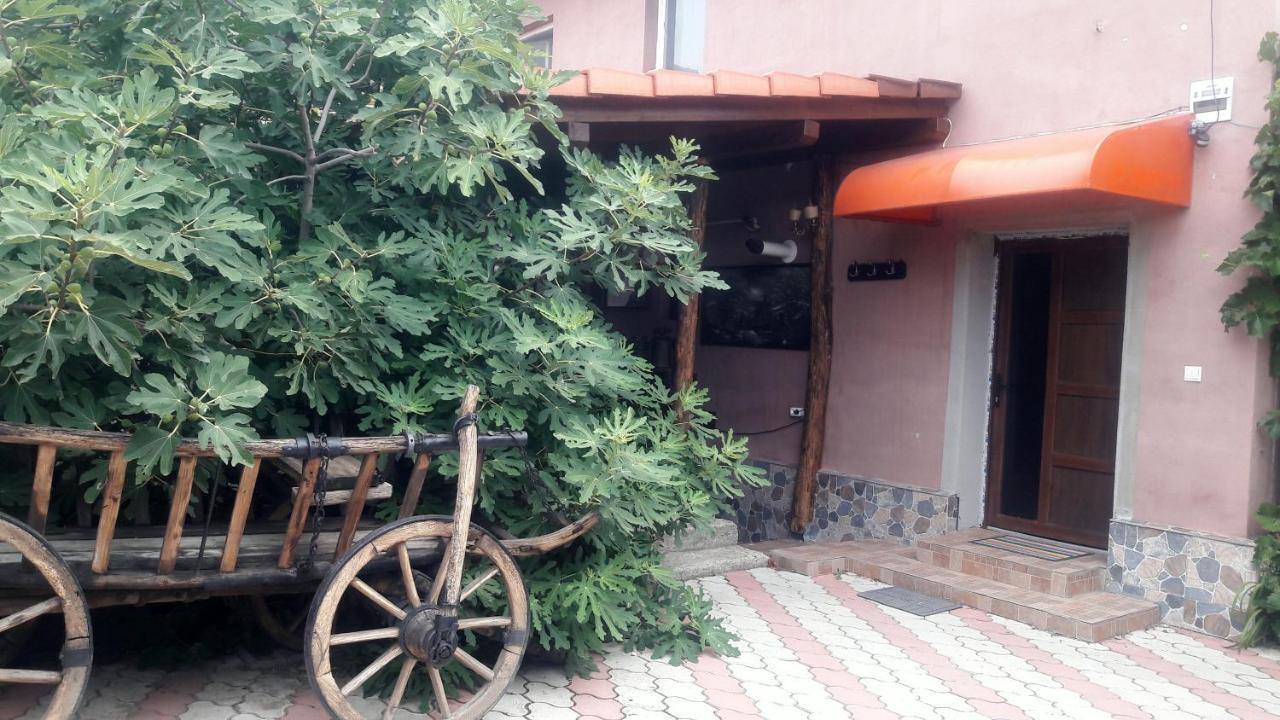 Arad Apartment - Airport Area Bagian luar foto